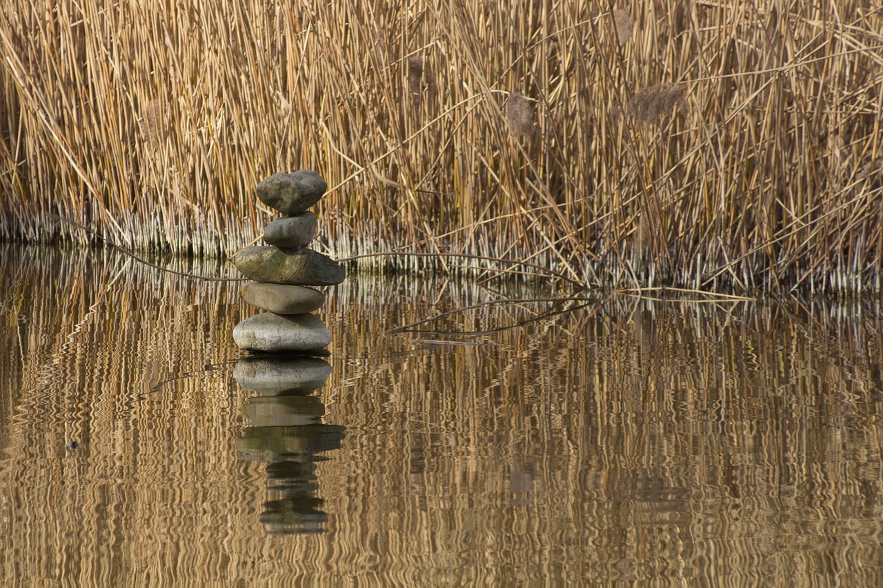 Tips for Creating a Healthy Work-Life Balance